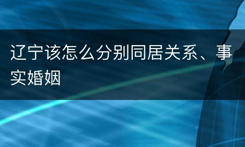 辽宁该怎么分别同居关系、事实婚姻