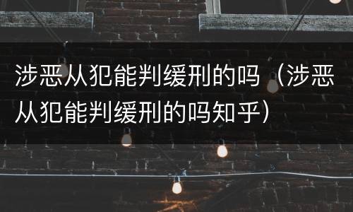 涉恶从犯能判缓刑的吗（涉恶从犯能判缓刑的吗知乎）