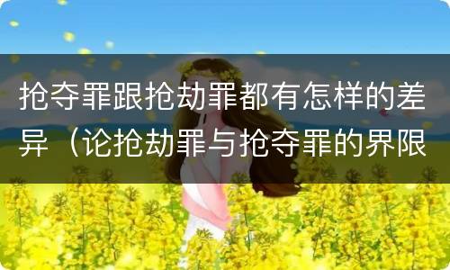 抢夺罪跟抢劫罪都有怎样的差异（论抢劫罪与抢夺罪的界限）