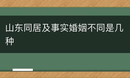 山东同居及事实婚姻不同是几种