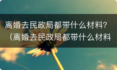 离婚去民政局都带什么材料？（离婚去民政局都带什么材料）