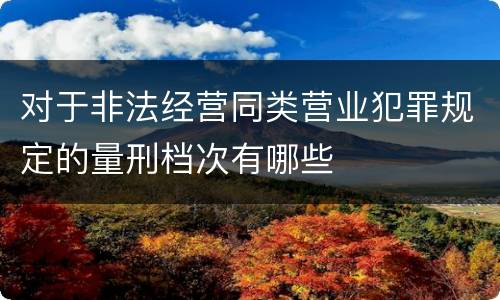 对于非法经营同类营业犯罪规定的量刑档次有哪些
