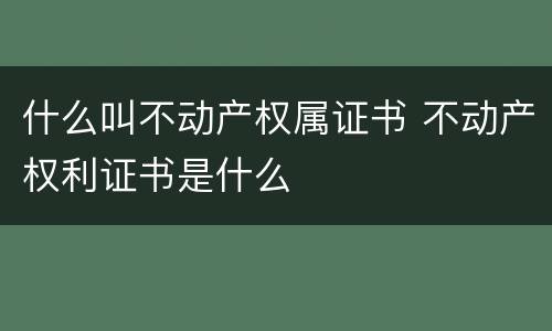 什么叫不动产权属证书 不动产权利证书是什么