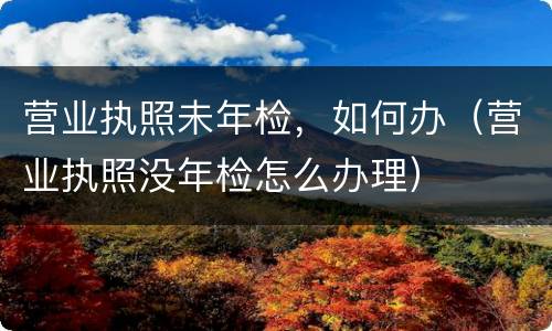 营业执照未年检，如何办（营业执照没年检怎么办理）