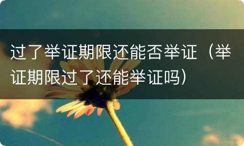 过了举证期限还能否举证（举证期限过了还能举证吗）