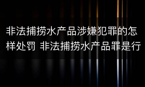 非法捕捞水产品涉嫌犯罪的怎样处罚 非法捕捞水产品罪是行为犯吗