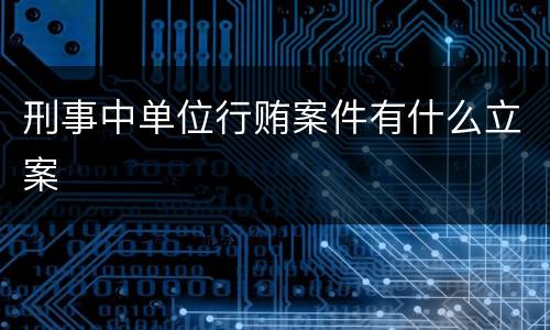 刑事中单位行贿案件有什么立案