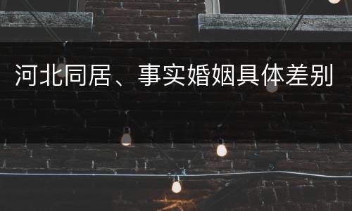 河北同居、事实婚姻具体差别