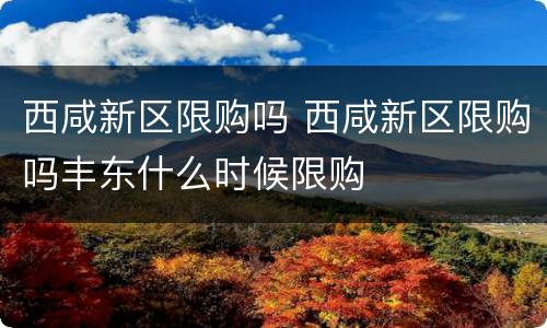 西咸新区限购吗 西咸新区限购吗丰东什么时候限购