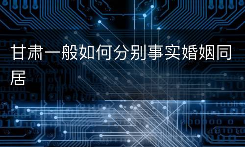 甘肃一般如何分别事实婚姻同居