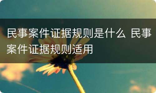 民事案件证据规则是什么 民事案件证据规则适用