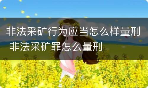 非法采矿行为应当怎么样量刑 非法采矿罪怎么量刑
