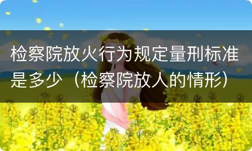 检察院放火行为规定量刑标准是多少（检察院放人的情形）