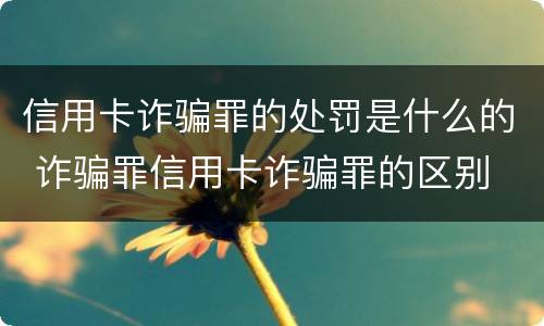 信用卡诈骗罪的处罚是什么的 诈骗罪信用卡诈骗罪的区别