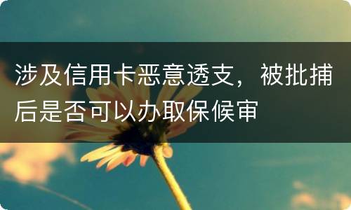 涉及信用卡恶意透支，被批捕后是否可以办取保候审