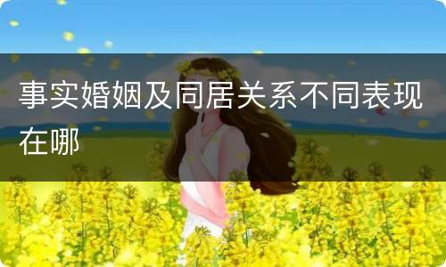 事实婚姻及同居关系不同表现在哪