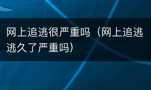 网上追逃很严重吗（网上追逃逃久了严重吗）