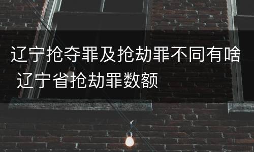 辽宁抢夺罪及抢劫罪不同有啥 辽宁省抢劫罪数额