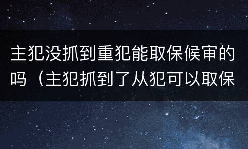 主犯没抓到重犯能取保候审的吗（主犯抓到了从犯可以取保吗）