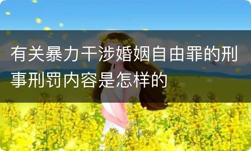 有关暴力干涉婚姻自由罪的刑事刑罚内容是怎样的