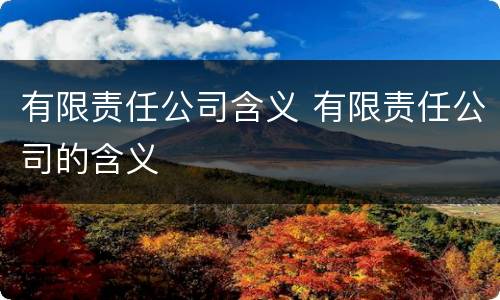 有限责任公司含义 有限责任公司的含义