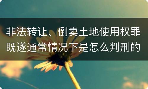 非法转让、倒卖土地使用权罪既遂通常情况下是怎么判刑的
