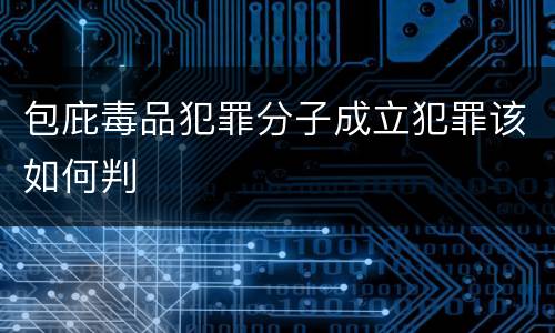 包庇毒品犯罪分子成立犯罪该如何判