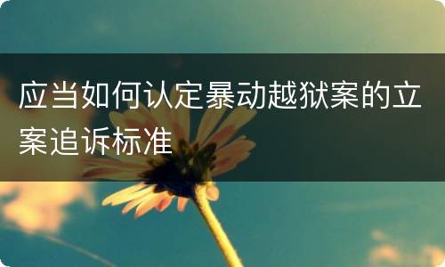 应当如何认定暴动越狱案的立案追诉标准