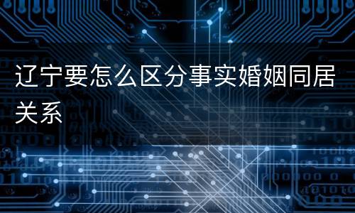 辽宁要怎么区分事实婚姻同居关系