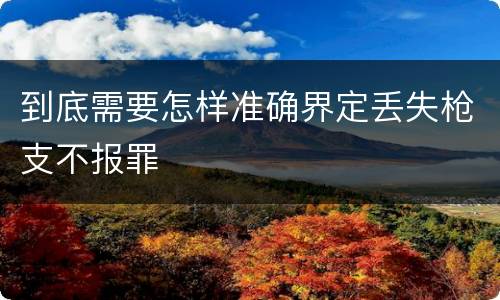 到底需要怎样准确界定丢失枪支不报罪