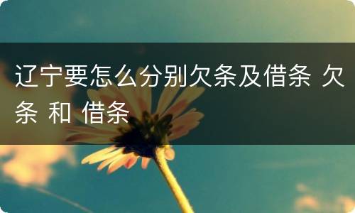 辽宁要怎么分别欠条及借条 欠条 和 借条