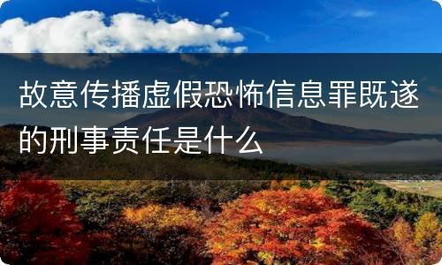 故意传播虚假恐怖信息罪既遂的刑事责任是什么
