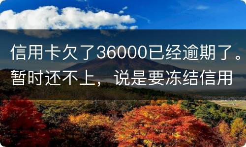 信用卡欠了36000已经逾期了。暂时还不上，说是要冻结信用卡，可以办理分期吗