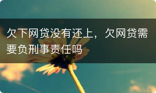 欠下网贷没有还上，欠网贷需要负刑事责任吗