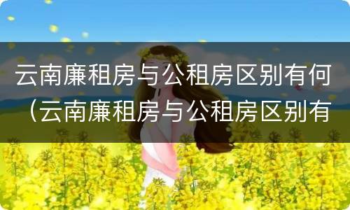 云南廉租房与公租房区别有何（云南廉租房与公租房区别有何不同）