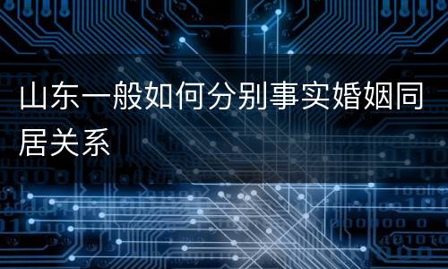 山东一般如何分别事实婚姻同居关系