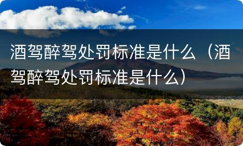 酒驾醉驾处罚标准是什么（酒驾醉驾处罚标准是什么）