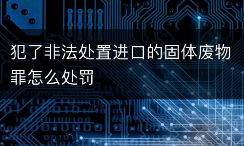 犯了非法处置进口的固体废物罪怎么处罚