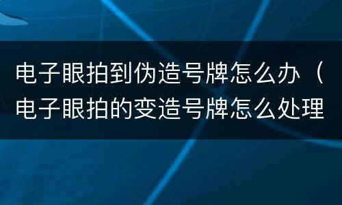 电子眼拍到伪造号牌怎么办（电子眼拍的变造号牌怎么处理）