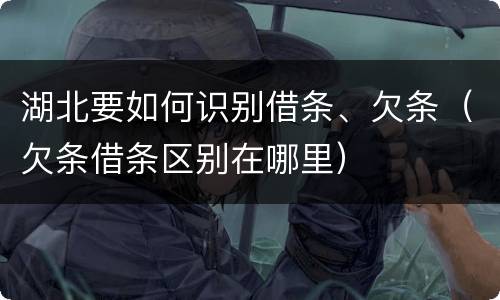 湖北要如何识别借条、欠条（欠条借条区别在哪里）