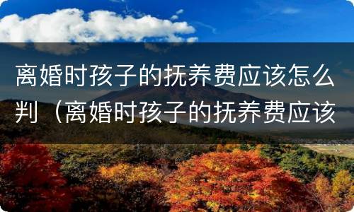 离婚时孩子的抚养费应该怎么判（离婚时孩子的抚养费应该怎么判定）