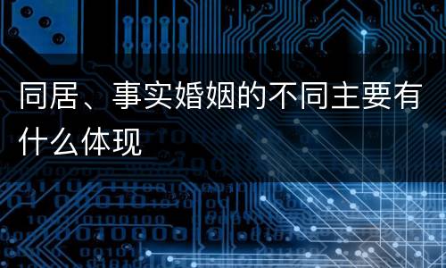同居、事实婚姻的不同主要有什么体现