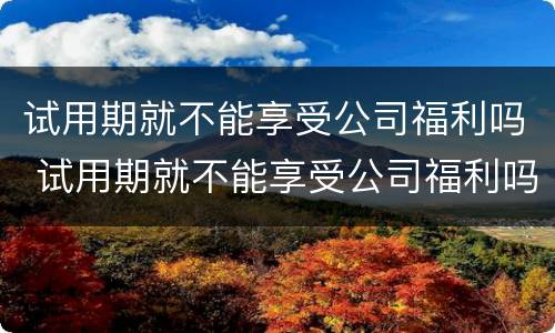 试用期就不能享受公司福利吗 试用期就不能享受公司福利吗为什么