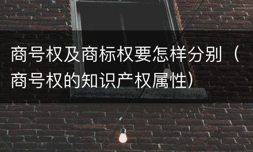 商号权及商标权要怎样分别（商号权的知识产权属性）