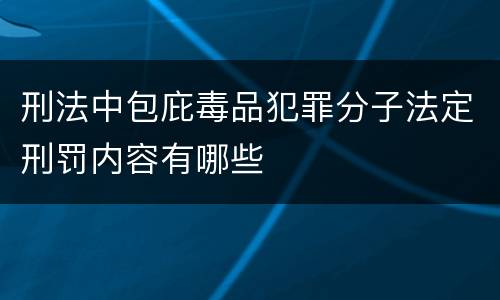 刑法中包庇毒品犯罪分子法定刑罚内容有哪些