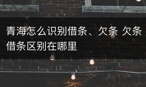 青海怎么识别借条、欠条 欠条借条区别在哪里