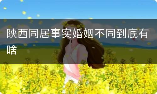 陕西同居事实婚姻不同到底有啥
