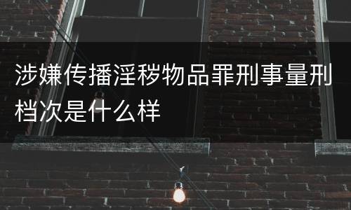 涉嫌传播淫秽物品罪刑事量刑档次是什么样
