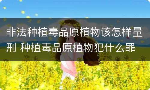 非法种植毒品原植物该怎样量刑 种植毒品原植物犯什么罪