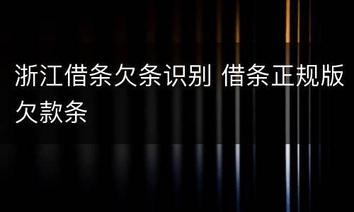 浙江借条欠条识别 借条正规版欠款条